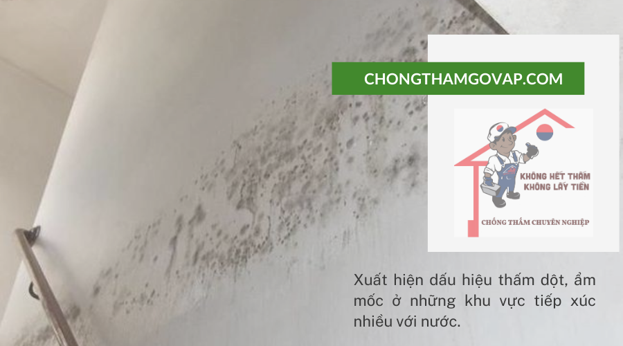 chống thấm gò vấp