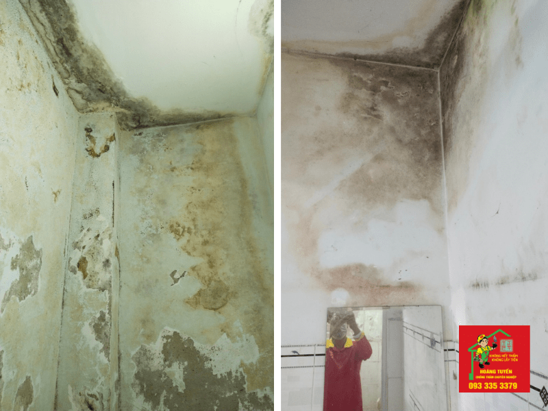 chống thấm nhà ở