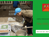 Hoàng Tuyến - Dịch vụ sửa chữa nhà uy tín hàng đầu tại Tân Bình
