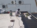 Chia sẻ về cách chống thấm trần nhà bị nứt triệt để