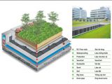 Thi Công Chống Thấm Bồn Hoa Trên Sân Thượng , Ban Công